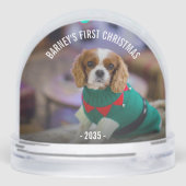 冬犬の写真クリスマス (裏面)