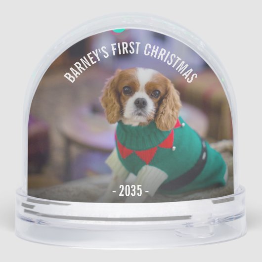 冬犬の写真クリスマス (裏面)