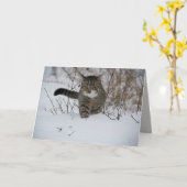 冬猫用グリーティングカード カード (黄色い花)