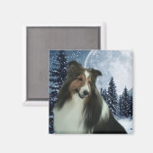 冬用ダンカン磁石 マグネット (正面/裏面)