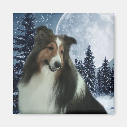 冬用ダンカン磁石 マグネット (正面)