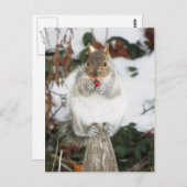 冬用リス葉書プリント ポストカード (正面/裏面)