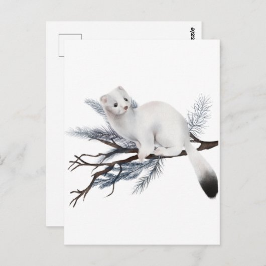 冬用リス ポストカード (正面/裏面)