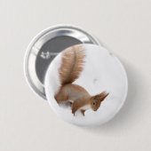 冬用リス 缶バッジ (正面&裏面)