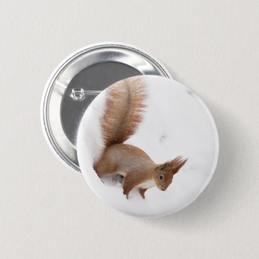 冬用リス 缶バッジ (正面&裏面)