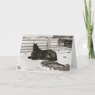 冬疑問に思 シーズンカード