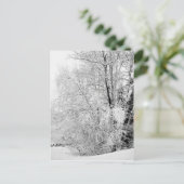 冬白はがき ポストカード (スタンド正面)