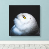 冬白フクロウ キャンバスプリント (インサイチュ (ウッドフロア))