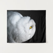 冬白フクロウ タペストリー (正面(横))