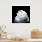 冬白フクロウ ポスター (キッチン)