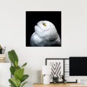 冬白フクロウ ポスター (ホームオフィス)