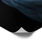 冬白フクロウ ポスター (角)