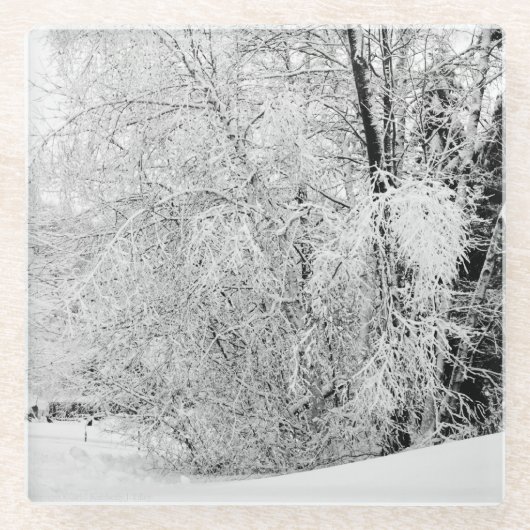 冬白 ガラスコースター (正面)