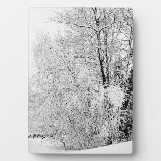 冬白 フォトプラーク (正面)