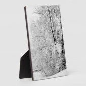 冬白 フォトプラーク (側面)