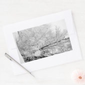 冬白 長方形シール (封筒)