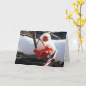 「冬眠の静謐」クリスマスカード カード (黄色い花)