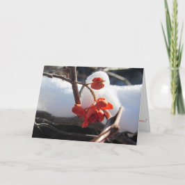 「冬眠の静謐」クリスマスカード カード