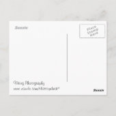 冬石 ポストカード (裏面)