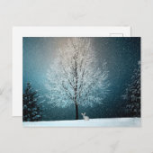 冬素晴らしの木 – ウサギ完備！ ポストカード (正面/裏面)