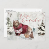 冬素朴の白熊の雪景色 ポストカード (正面/裏面)