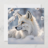 冬至かわいらし雪キツネフラットカード (正面)