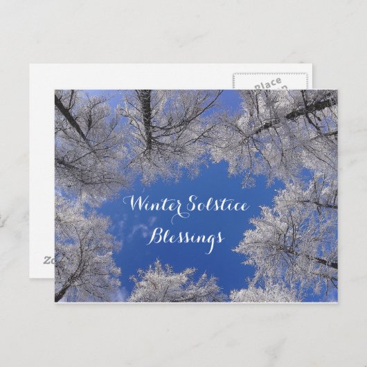 冬至の祝福 冬の木々と空 ポストカード (正面/裏面)