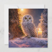 冬至の雪の中のフクロウ カード (正面)