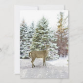 冬至の食事会への招待状 招待状 (裏面)