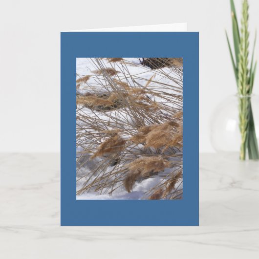 冬至の驚異カード シーズンカード (正面)