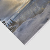 冬至のTurnagainの腕 薄葉紙 (詳細)