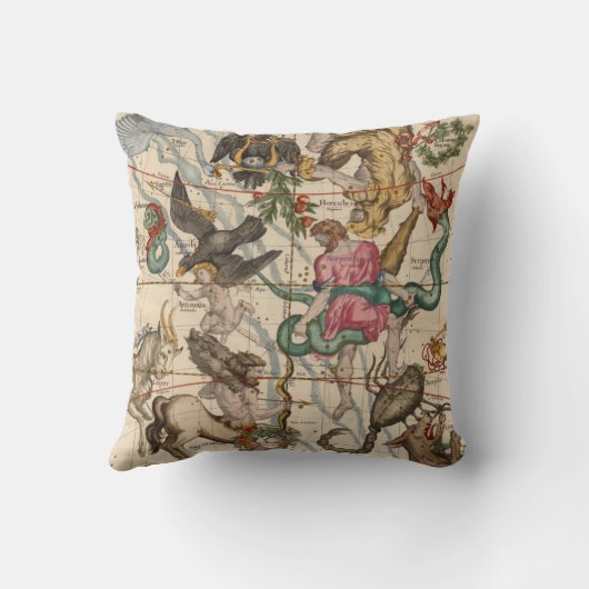 冬至 クッション (裏面)