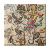 冬至 タイル (正面)