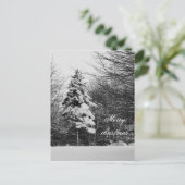 冬葉書 シーズンポストカード (スタンド正面)