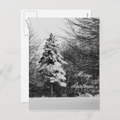 冬葉書 シーズンポストカード (正面/裏面)