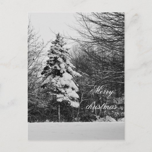 冬葉書 シーズンポストカード (正面)
