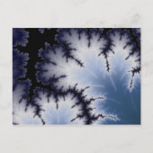 冬葉 ポストカード (正面)