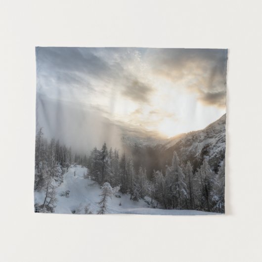 冬輝くの素晴らし日差し タペストリー (正面(横))