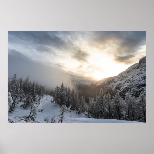 冬輝くの素晴らし日差し ポスター (正面)