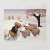 冬運の羊への干し草 ポストカード (正面)