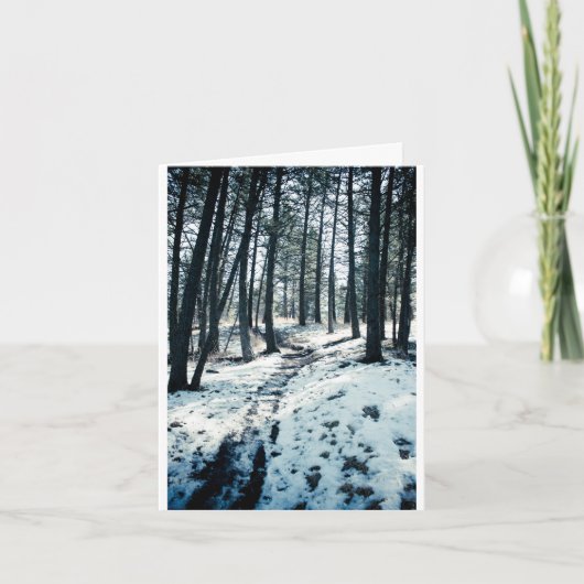 冬道のクリスマスカード シーズンカード (正面)