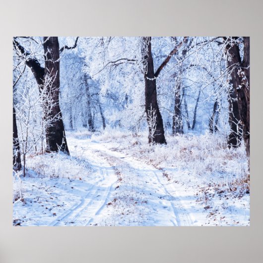 冬道 ポスター (正面)