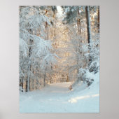 冬道 ポスター (正面)