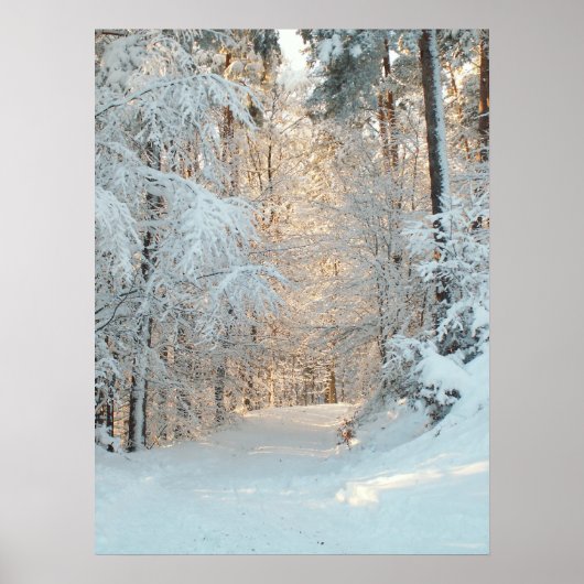 冬道 ポスター (正面)