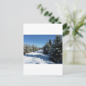 冬道 ポストカード (スタンド正面)