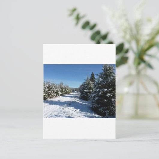 冬道 ポストカード (スタンド正面)