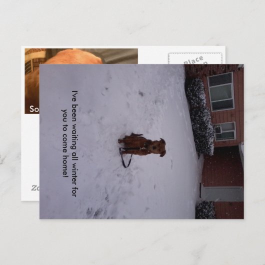 冬遠くに ポストカード (正面/裏面)