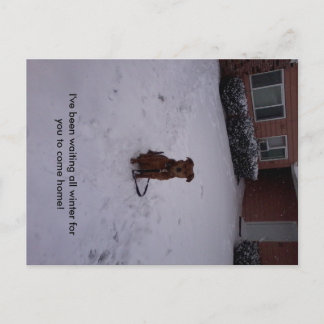 冬遠くに ポストカード