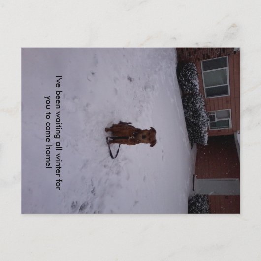 冬遠くに ポストカード (正面)