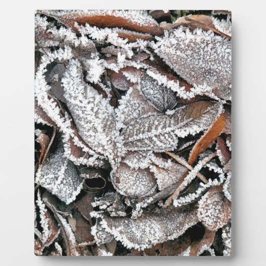 冬離れ フォトプラーク (正面)